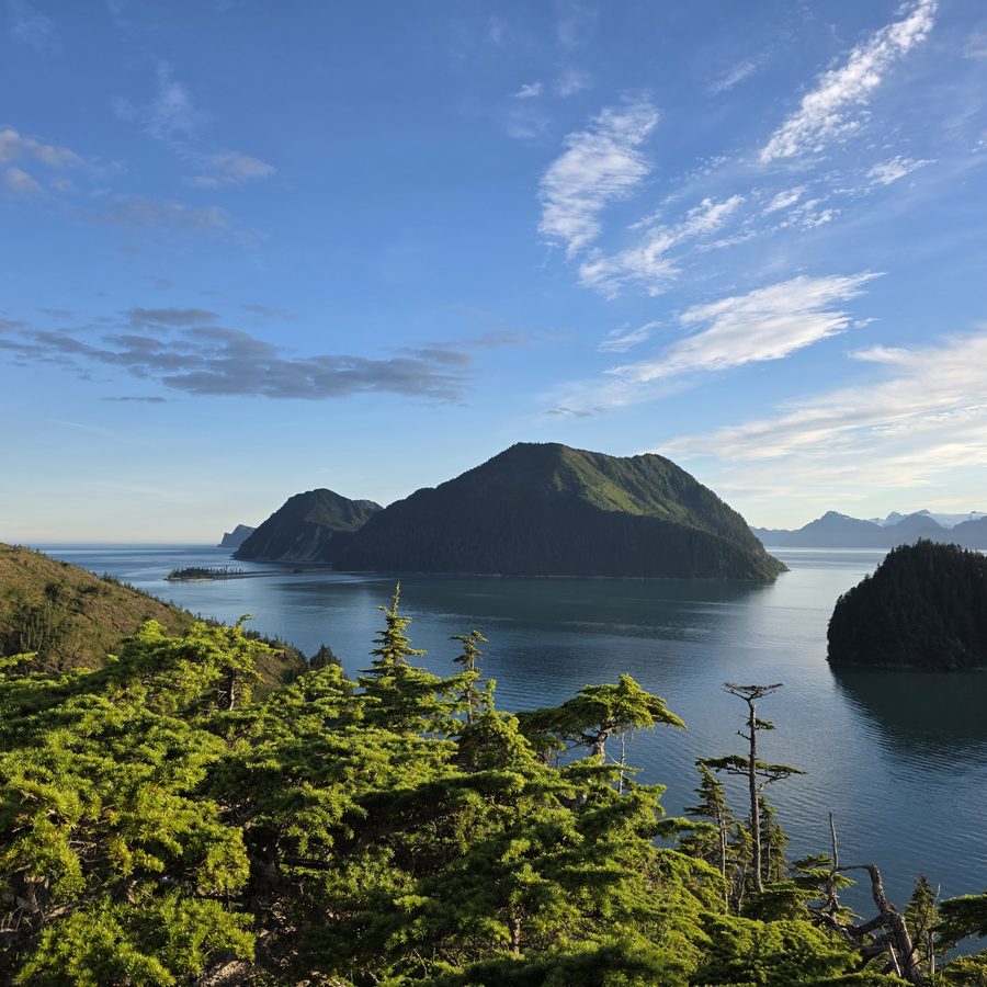 A fjord and forested islands in Alaska
